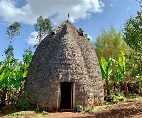  Designing Ethiopian Homes: An Architectural Tapestry Woven With Tradition and Modernity!