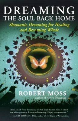  Dreaming the Soul Back Home: An Odyssey of Self-Discovery and Healing Through Meditation -  Unveiling the Tapestry of Consciousness through Lyrical Prose